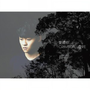 收聽長宇的愛過你歌詞歌曲