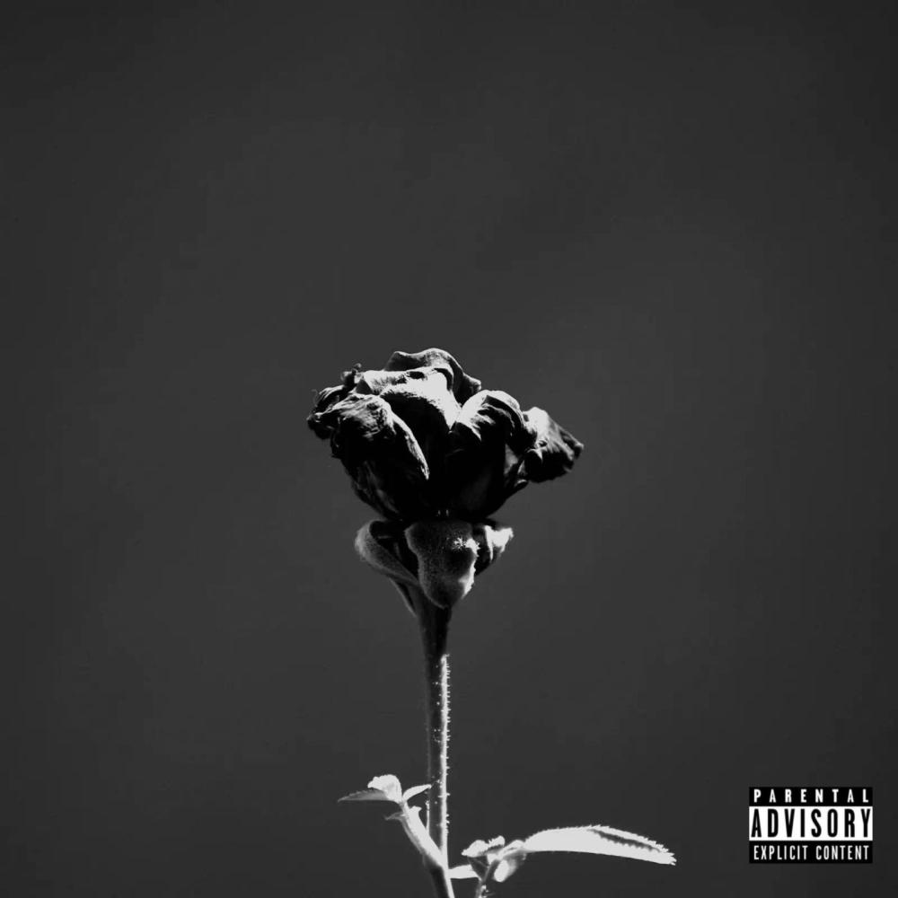 Rich Life (feat. Aye Jumperr & xtcluna) (REMIX|Explicit)