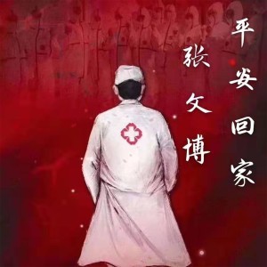 Listen to 平安回家 song with lyrics from 张文博