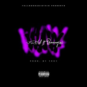 ดาวน์โหลดและฟังเพลง WAVEY (feat. Barragini) (Explicit) พร้อมเนื้อเพลงจาก ZeepZorp