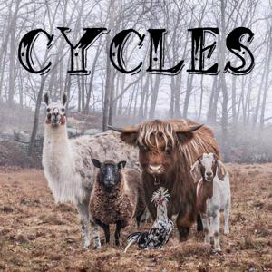 收聽babykyle的Cycles (Explicit)歌詞歌曲
