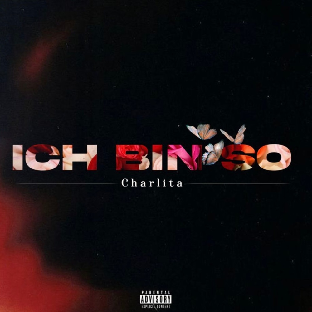 Ich bin so (Explicit)