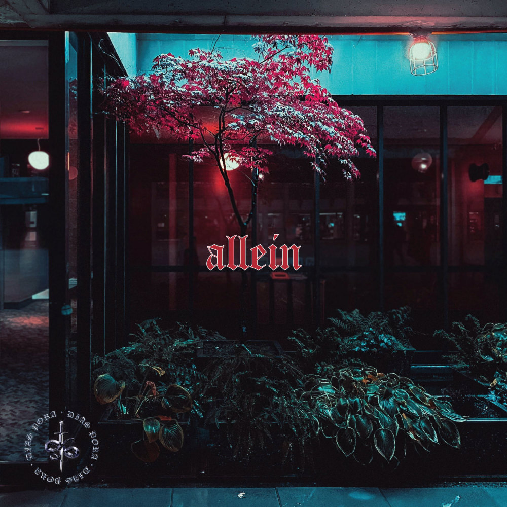 Allein (Explicit)