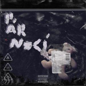 Listen to Pár nocí (Explicit) song with lyrics from PAWLIE POIZN