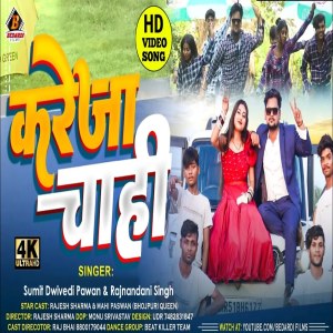 ดาวน์โหลดและฟังเพลง Kareja Chahi พร้อมเนื้อเพลงจาก Sumit Dwivedi Pawan