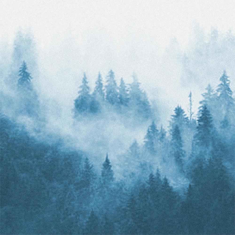 Blue Forest (Explicit)
