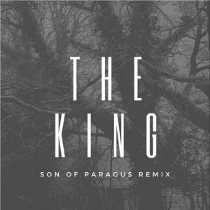 收听Jordan Jane的The King (Son of Paragus Remix)歌词歌曲