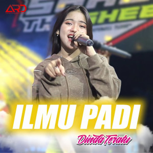 Listen to Ilmu Padi song with lyrics from Dinda Teratu