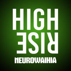 Highrise的專輯NEUROWAIHIA