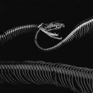 ดาวน์โหลดและฟังเพลง Zinch พร้อมเนื้อเพลงจาก Mascon