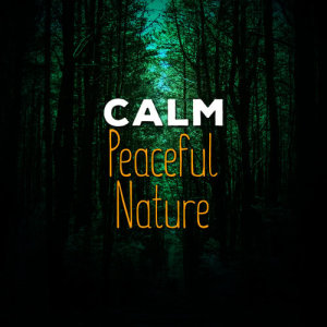 ดาวน์โหลดและฟังเพลง Brooks and Beaks พร้อมเนื้อเพลงจาก Sleep Songs with Nature Sounds