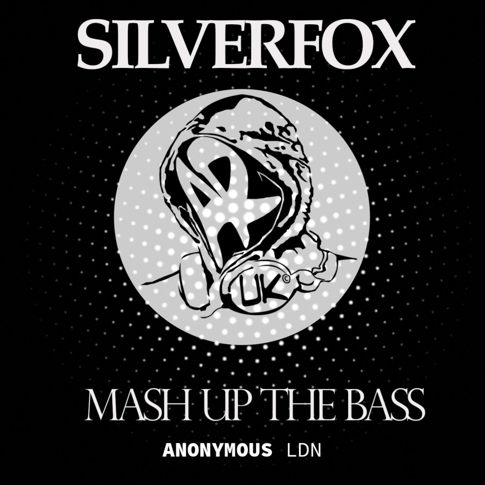 Mash up the Bass (Original Mix)