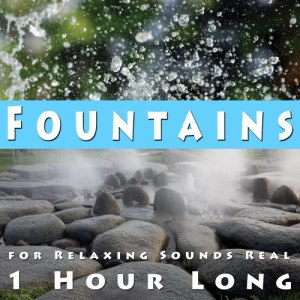 收聽Zen Meditations from a Sleeping Buddha的Fountains for Relaxing, Sounds Real 1 Hour Long歌詞歌曲