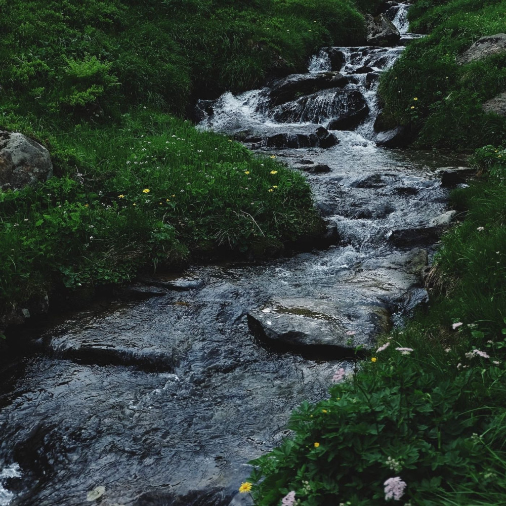 Creek's Relaxation Playlist