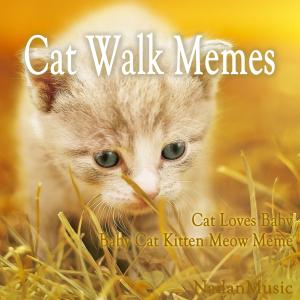 Album Cat Walk Memes (Soothing Relaxation Music for Sleep, Studying) from NADAN