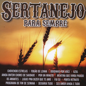 Listen to Os Amantes (Cover Version) song with lyrics from Cowboys do Sertão