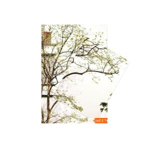 ดาวน์โหลดและฟังเพลง Afterimage พร้อมเนื้อเพลงจาก Besweet