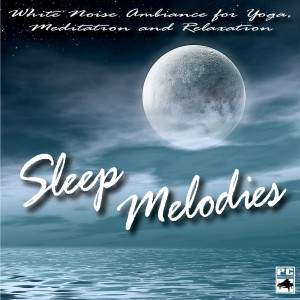 收听Sleep Melodies的Amazon Rainforest Relaxation歌词歌曲