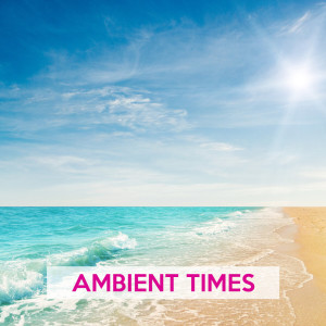 Album Ambient Times from Various