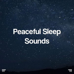 Album "!!! Peaceful Sleep Sounds !!!" from Deep Sleep