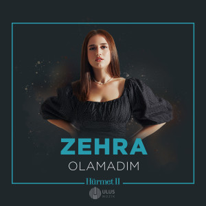 Album Olamadım (İbrahim Erkal Hürmet 2) from Zehra