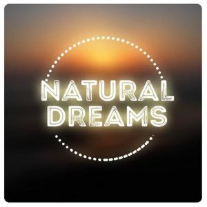 收聽Dreams of Nature的Early Morning歌詞歌曲