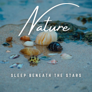 Album Sleep Beneath the Stars: Celestial Soothing from Sleep Now