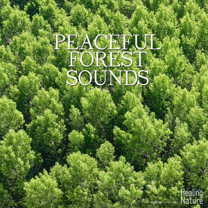 ดาวน์โหลดและฟังเพลง Water and Wind 1 พร้อมเนื้อเพลงจาก 힐링 네이쳐 Nature Sound Band