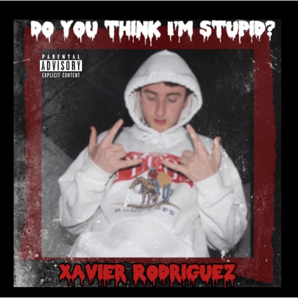 Do You Think I'm Stupid? (Explicit)