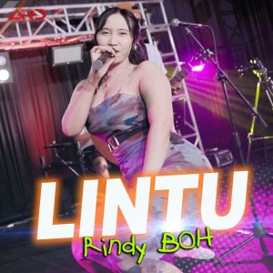 Listen to Lintu song with lyrics from Rindy BOH