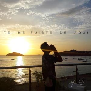 Listen to Te Me Fuiste De Aquí song with lyrics from Edy Montoya