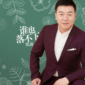 收聽張波的誰也落不下歌詞歌曲