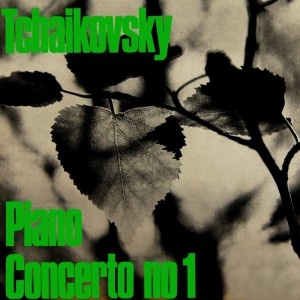 Listen to Piano Concerto No. 1 In B Flat Minor: I. Allegro Non Troppa song with lyrics from Obernkirchen Children's Choir