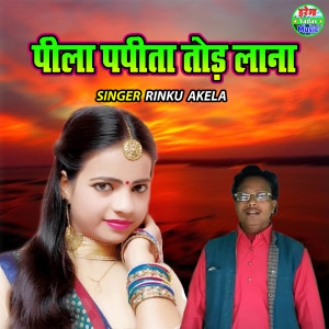 收聽Rinku Akela的Pila Papita Tod Lana歌詞歌曲