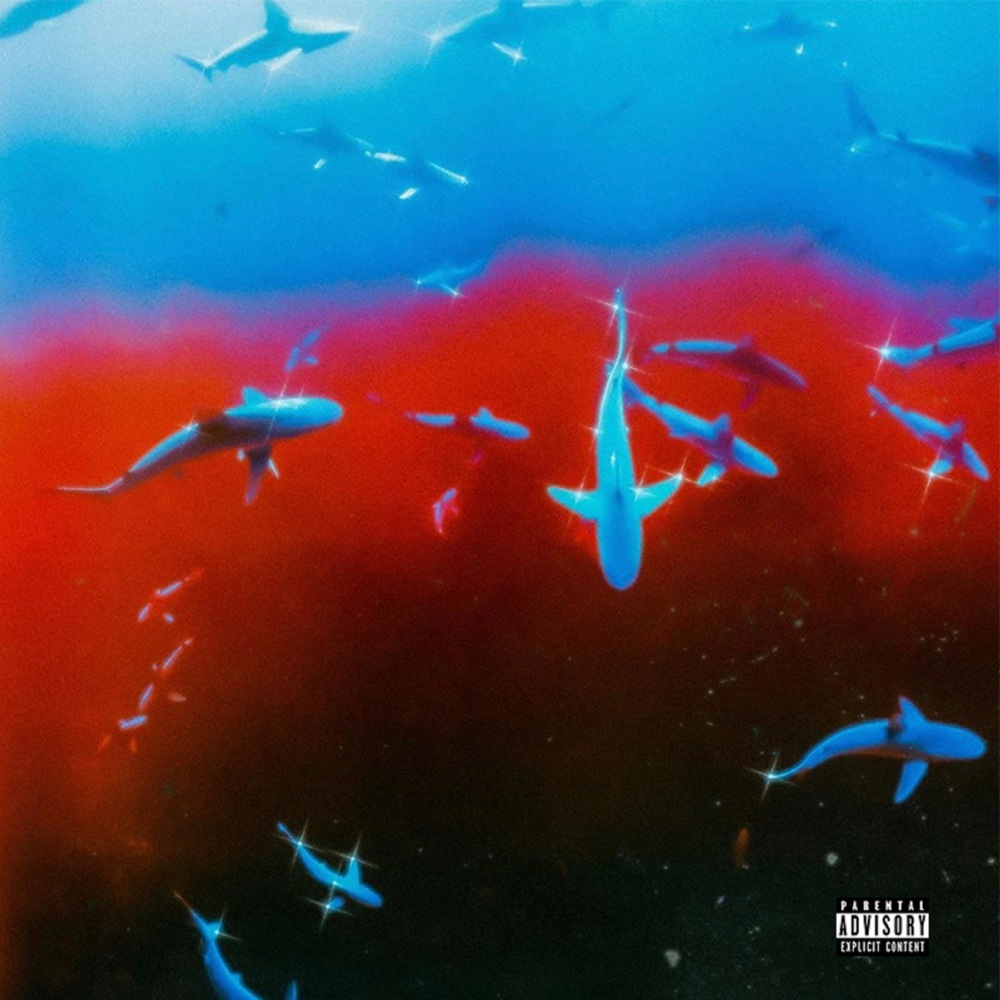Too Hype (Explicit)