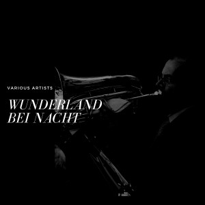 收听Orchester Walter Eichenberg的Kofferradio-Boogie歌词歌曲