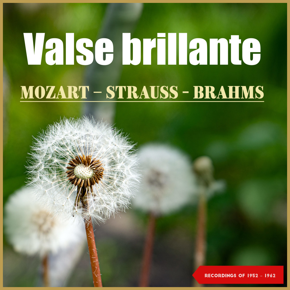 Violin Concerto No. 1 in G Minor, Op. 26: I. Vorspiel. Allegro moderato
