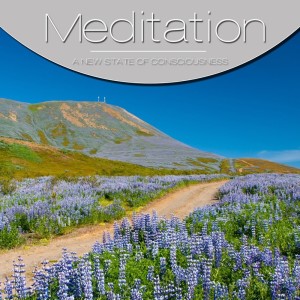 收聽Meditation String的Meditation歌詞歌曲