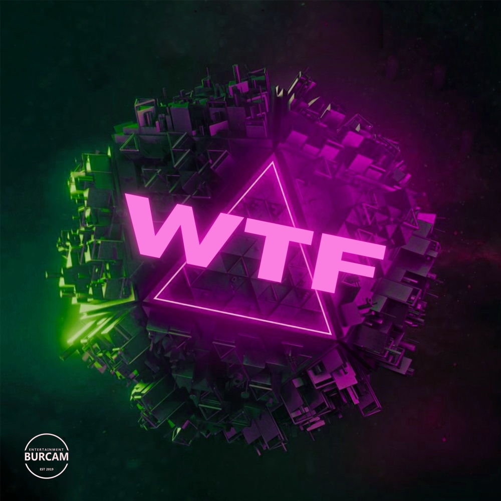 W.T.F (Explicit)