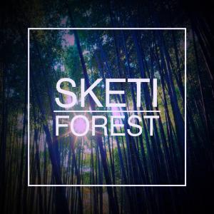 Dengarkan lagu Forest (Instrumental) nyanyian Sketi dengan lirik