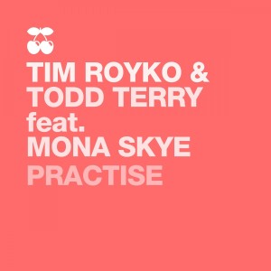 Tim Royko的專輯Practise