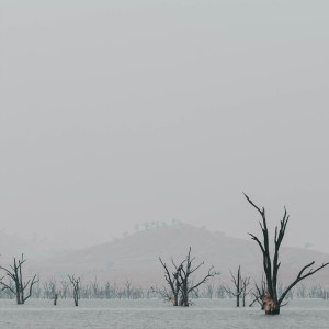 Listen to Pure Relaxation Music for Sleeping song with lyrics from Deep Sleep