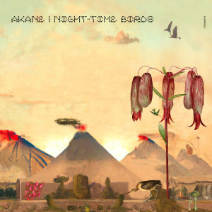 Album Night-Time Birds oleh AKANE