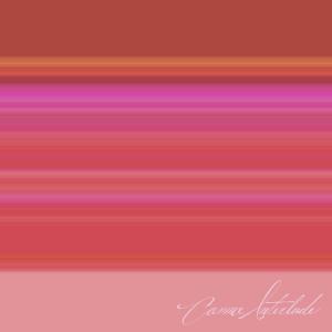 We the Commas的專輯Comma Interlude
