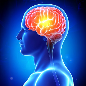 อัลบัม Stimulate the Hippocampus & Improve Your Memory ศิลปิน Academia de Relaxamento Espiritual