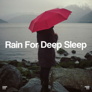 !!!" Rain For Deep Sleep "!!!