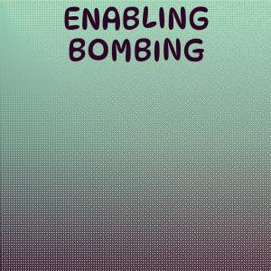 Various的专辑Enabling Bombing