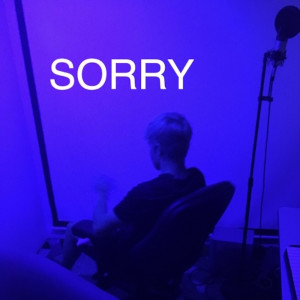 ดาวน์โหลดและฟังเพลง Sorry พร้อมเนื้อเพลงจาก 262thekid