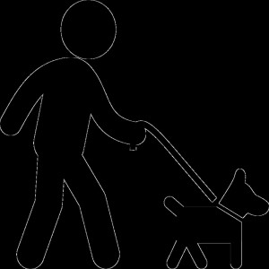 Listen to Dog Walking (Explicit) song with lyrics from Dre Weez