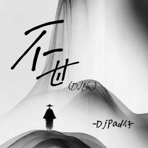 DjPad仔的專輯不甘 (DJ版)